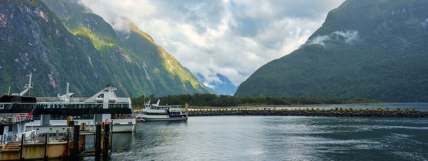 Understanding Fiordland: The Wild Heart of the South Island