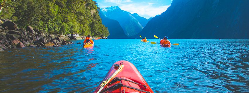 The Journey There: A New Zealand Road Trip Highlight