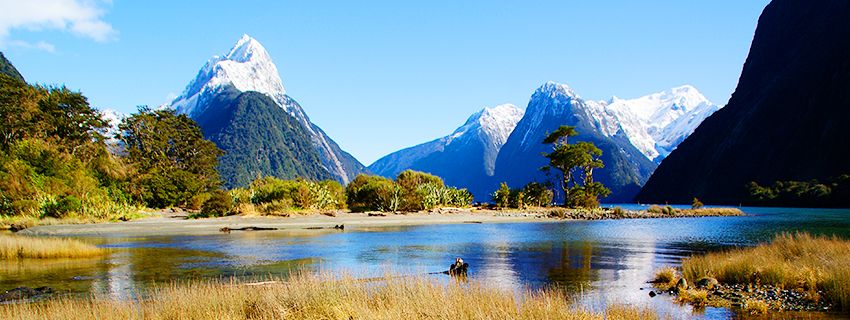 New Zealand