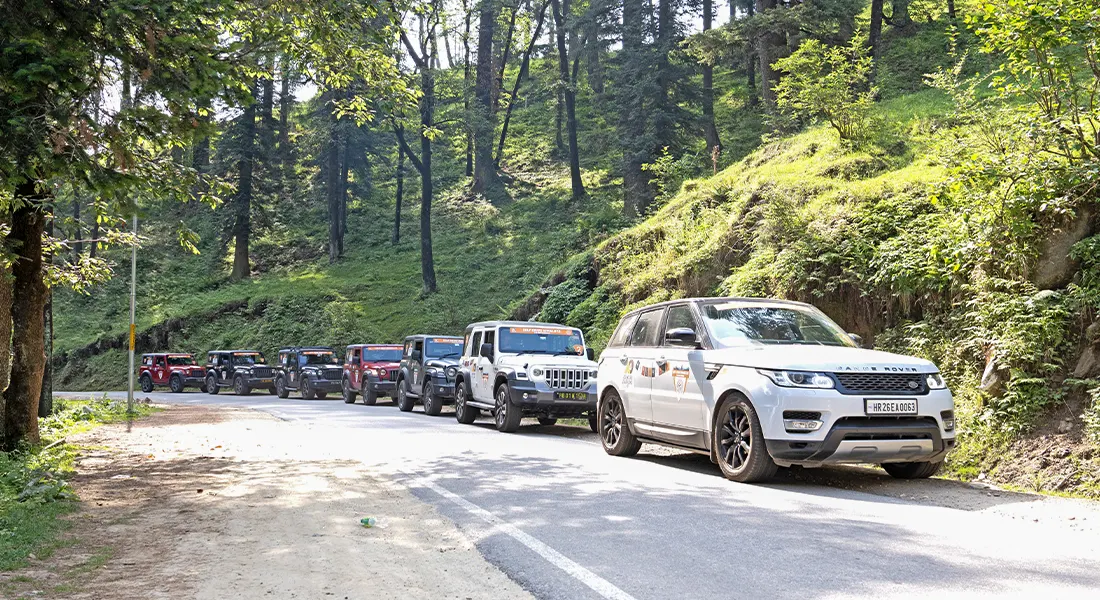 Adventures Overland expedition vehicles driving through lush green forest