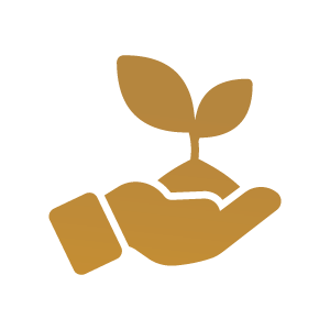 Plant a Tree - Tree plantation with unique ID icon
