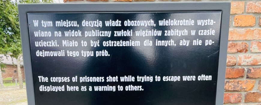 Diving into the history of Auschwitz