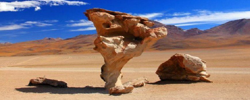 Stone Tree: A Sculpture of Nature