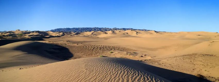 Khongor Sand Dune (Khongoryn Els)
