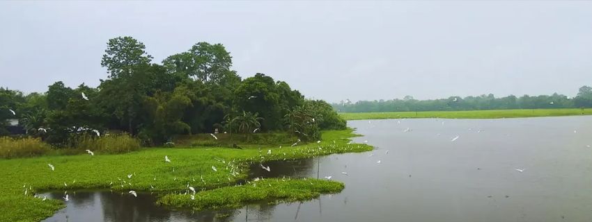 Majuli, Assam