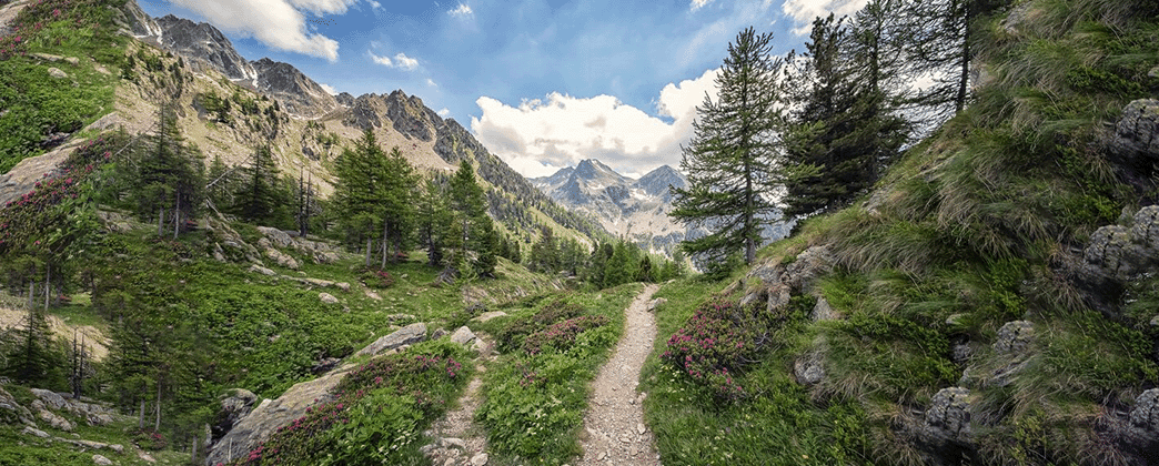 Chamonix Valley, French Alps – France
