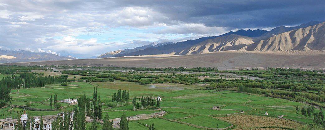  Nubra Valley, Ladakh – India